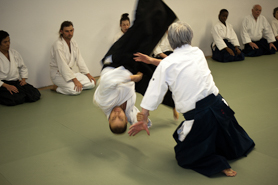 Sensei throwing Bobby