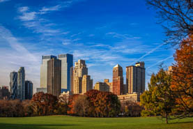 Cityscape