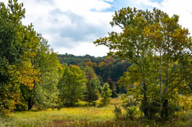 Bull Mil Road